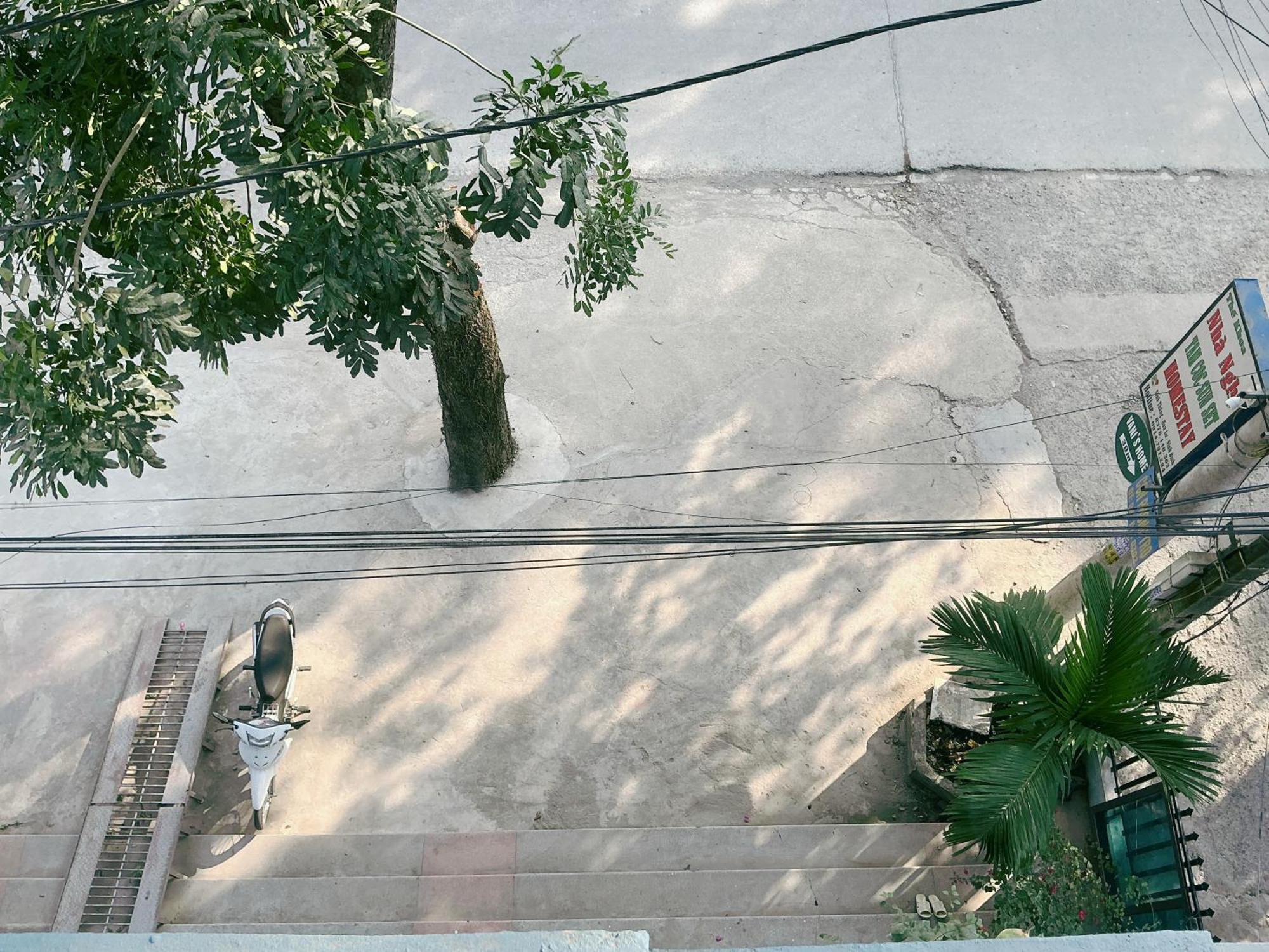 Tam Coc Sunset Homestay Νιν Μπιν Εξωτερικό φωτογραφία